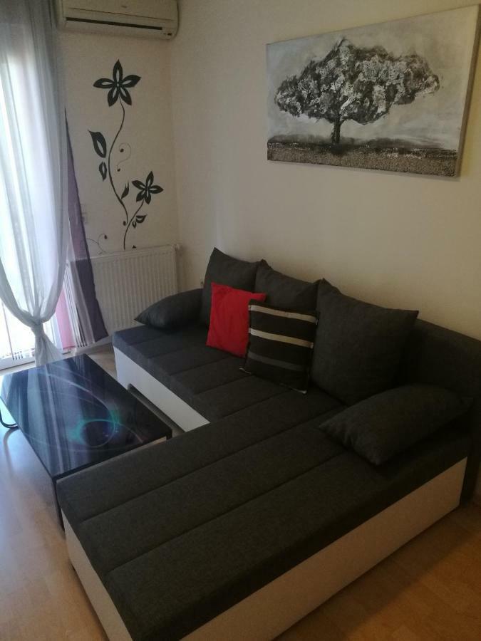 Apartments Ivi Vir Εξωτερικό φωτογραφία